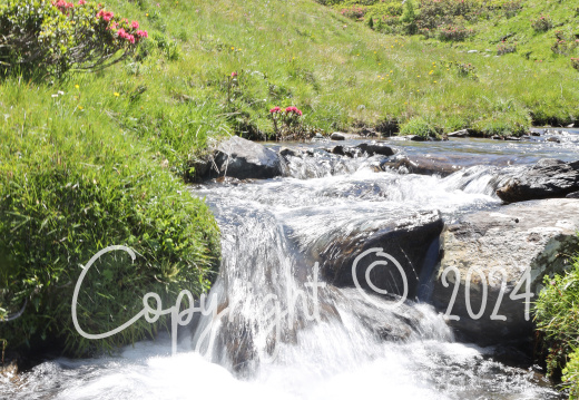 Die Kraft  des Wasser