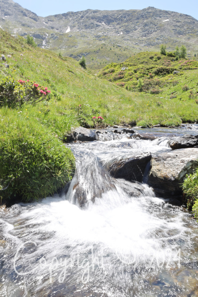 Die Kraft  des Wasser.JPG